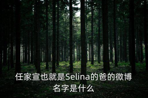 任家萱微博，任家宣也就是Selina的爸的微博名字是什么