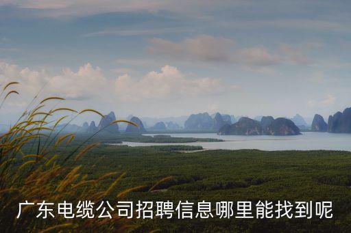 廣東東莞中德電纜有限公司招聘信息，東莞哪些電纜廠招聘成纜機長