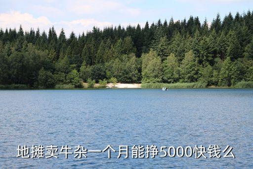 地攤賣牛雜一個月能掙5000快錢么