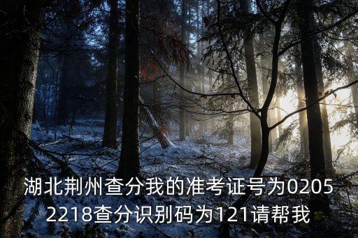 湖北荊州查分我的準考證號為02052218查分識別碼為121請幫我
