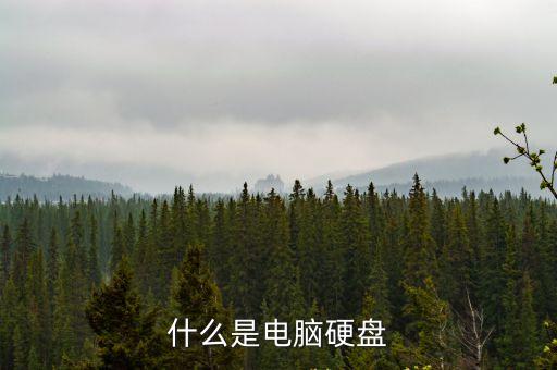 電腦硬盤，什么是電腦硬盤