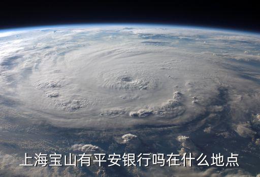 建行上海市平安支行的地址，上海哪有平安銀行