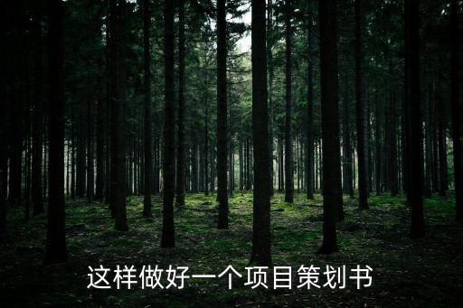 項(xiàng)目策劃案，如何寫項(xiàng)目策劃書