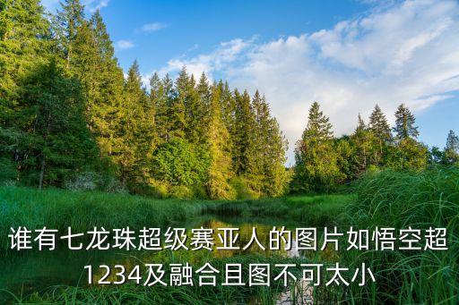 賽亞人圖片，給我發幾張超級賽亞人的圖吧