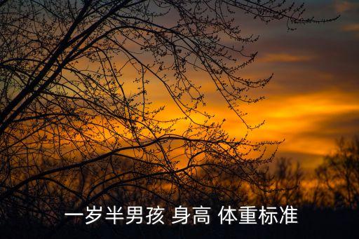  一歲半男孩 身高 體重標準