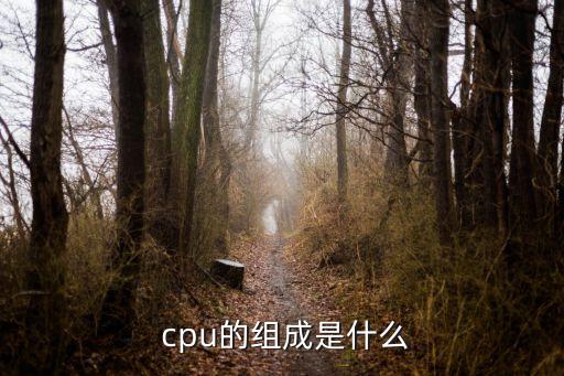 cpu的組成,中央處理器的構成