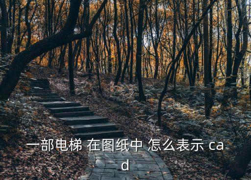 電梯圖紙，電梯圖紙在沒看易懂