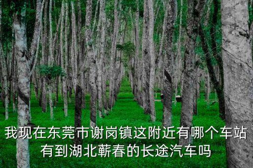 我現(xiàn)在東莞市謝崗鎮(zhèn)這附近有哪個(gè)車(chē)站有到湖北蘄春的長(zhǎng)途汽車(chē)嗎