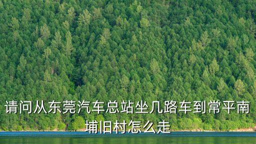 廣州東莞南埔村，常平南埔村在什么地方