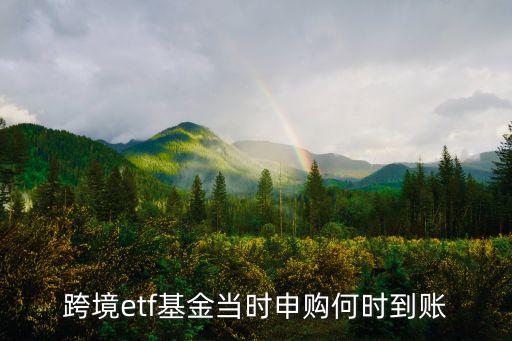 跨境etf，ETFLOF都是跨境的T0