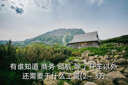 商務司機是做什么的,高級商務司機職業培訓學堂（）