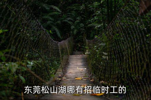 東莞松山湖附近招小工，東莞松山湖附近有招人嗎