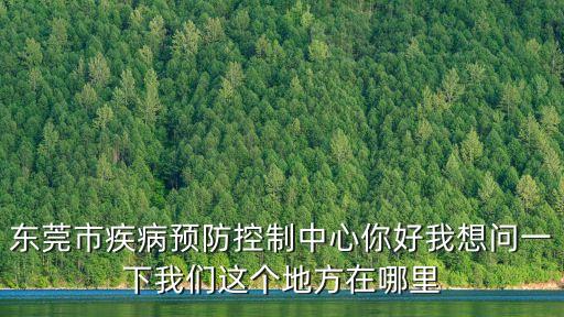 東莞市疾病預防控制中心你好我想問一下我們這個地方在哪里