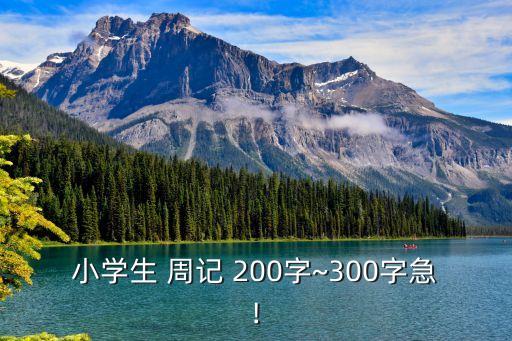 小學生 周記 200字~300字急!