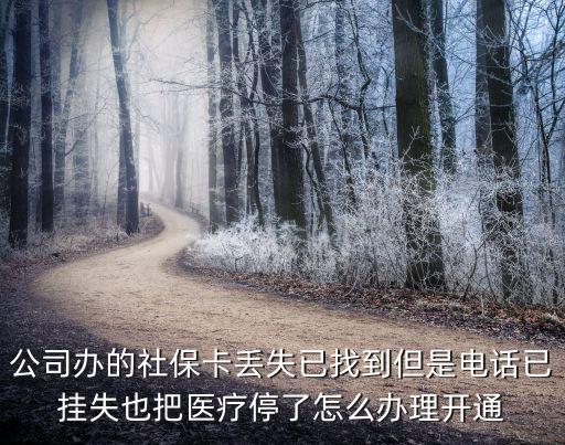 公司辦的社?？▉G失已找到但是電話已掛失也把醫療停了怎么辦理開通