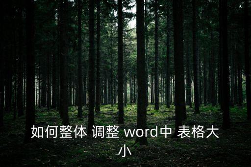 如何整體 調(diào)整 word中 表格大小