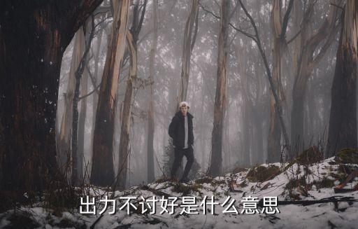 出力不討好，什么叫出力不討好舉例