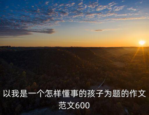 以我是一個怎樣懂事的孩子為題的作文范文600