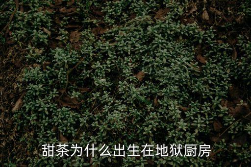 甜茶,藏餐咖啡、-0/甜茶