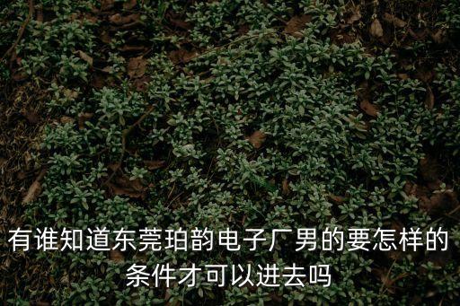 廣東東莞博韻電子廠，珀韻電子廠招工情況