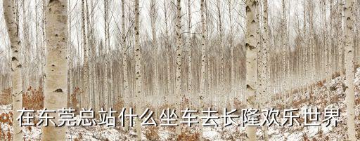 在東莞總站什么坐車去長隆歡樂世界