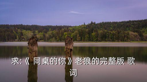 同桌的你歌詞,多愁善感的你和憂郁的我