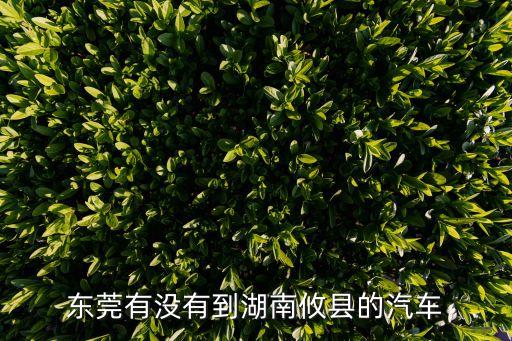 東莞到湖南攸縣長(zhǎng)途客車什么時(shí)間，東莞到攸縣長(zhǎng)途汽車
