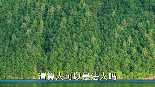 清算人可以是法人嗎