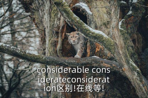 considerable considerateconsideration區別!在線等!