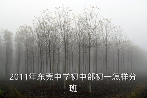 東莞中學什么時候分實驗班，東莞實驗中學的分班