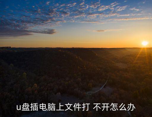 u盤打不開怎么辦,u盤插入電腦后打字不開該怎么辦?