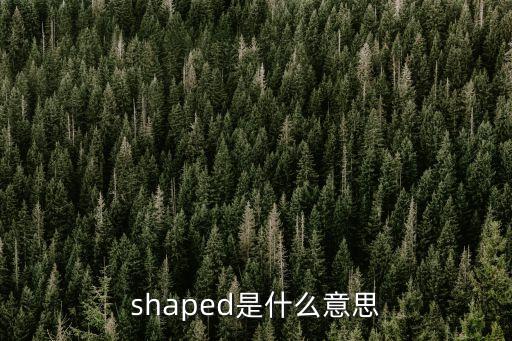 shaped，doughnutshaped是什么意思