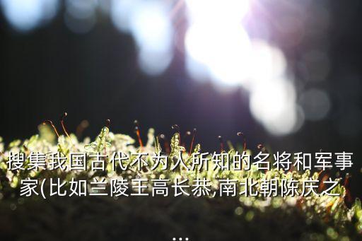 搜集我國古代不為人所知的名將和軍事家(比如蘭陵王高長恭,南北朝陳慶之...