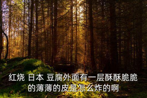 脆皮日本豆腐,日本豆腐是蒸雞蛋豆腐不是黃豆