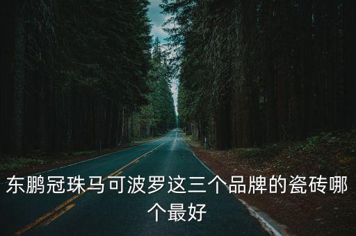 東莞哪種瓷磚最好，東莞地區(qū)賣的好的地磚品牌有哪些