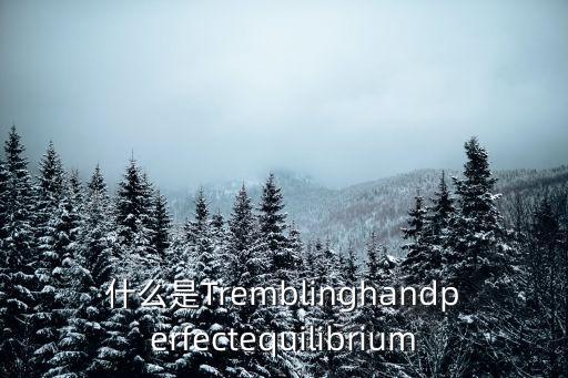 什么是Tremblinghandperfectequilibrium