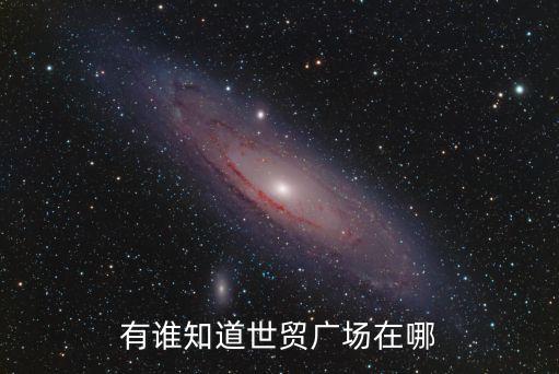 上海市世貿國際廣場，有誰知道世貿廣場在哪