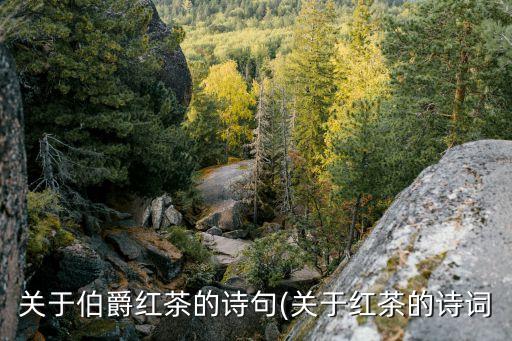 六羨歌,關(guān)于紅茶的詩《山泉飲茶有懷》
