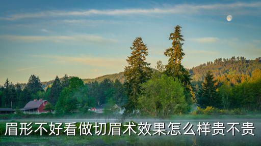 怎么切眉，眉形不好看做切眉術效果怎么樣貴不貴