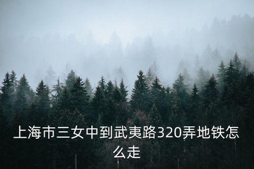 2017年上海市三女中，上海市第三女子中學