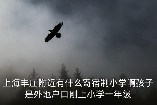 上海豐莊附近有什么寄宿制小學啊孩子是外地戶口剛上小學一年級