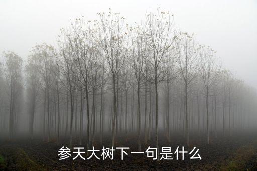  參天大樹下一句是什么