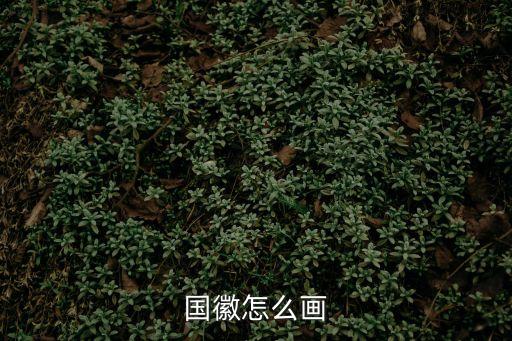 國徽簡筆畫，國徽的簡筆畫要怎么畫