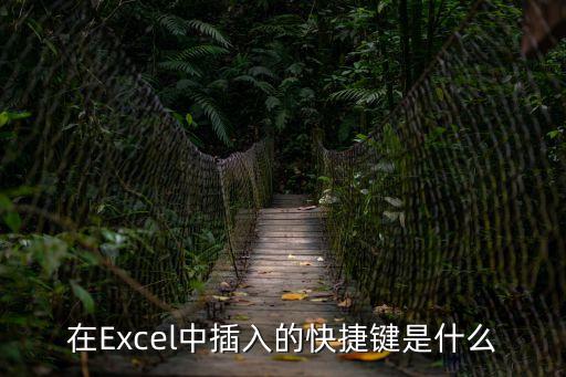 在Excel中插入的快捷鍵是什么