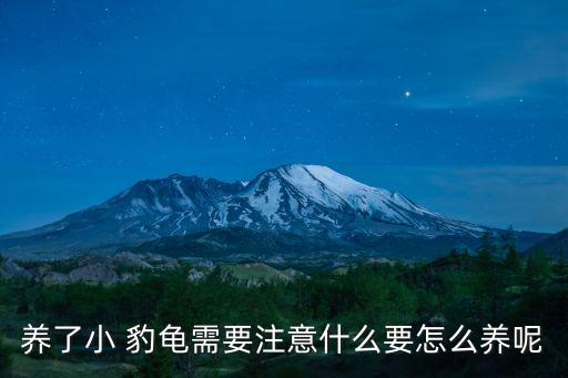養了小 豹龜需要注意什么要怎么養呢