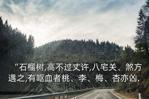 桃李梅,宅命為福福德宮四座小山供你開信