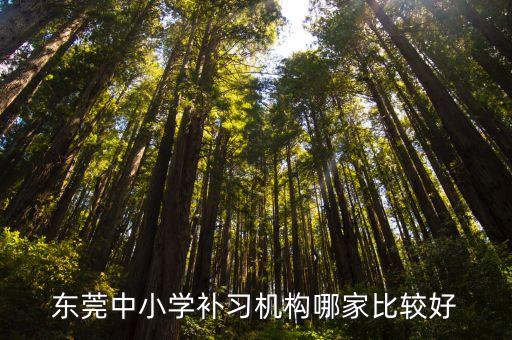 東莞小學補習機構哪個最好，東莞中小學補習機構哪家比較好