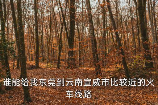 誰能給我東莞到云南宣威市比較近的火車線路