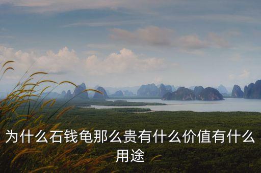 石錢龜，石金錢龜