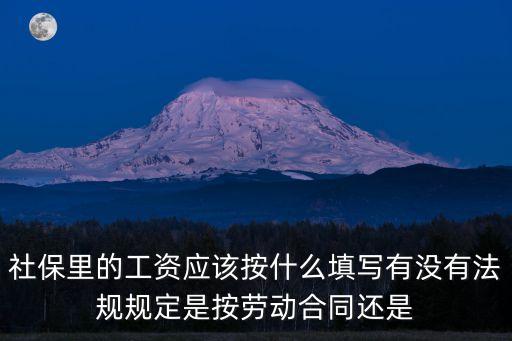 社保里的工資應該按什么填寫有沒有法規規定是按勞動合同還是